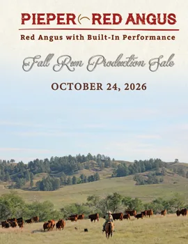 Pieper Red Angus poster image